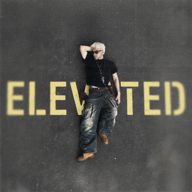 elevated cover art