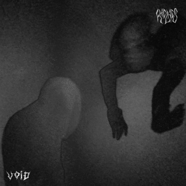 Void cover art
