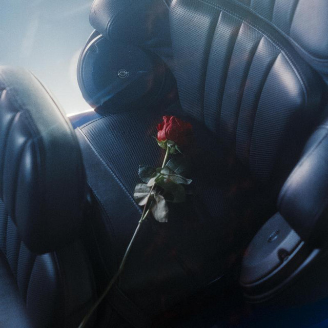 surrender cover art