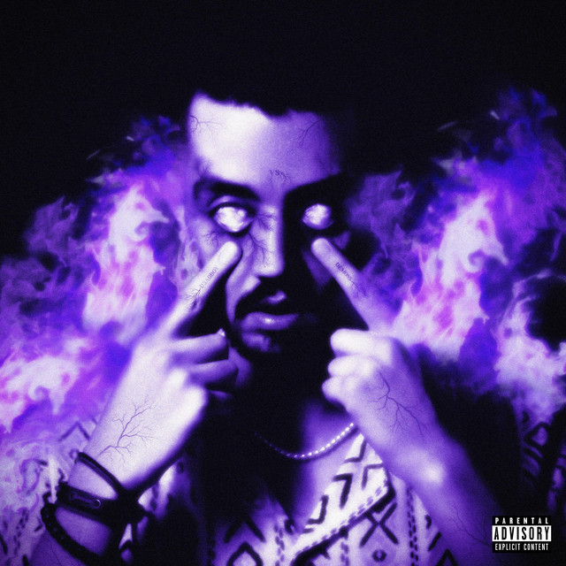 FLEX cover art
