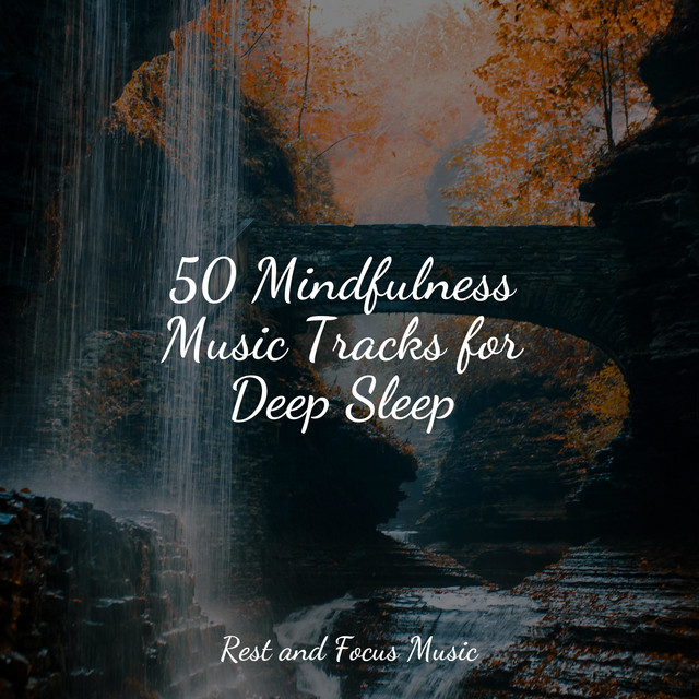 50 Mindfulness Music Tracks for Deep Sleep - Album by Calming Sounds ...