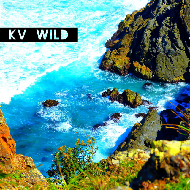 Wild cover art