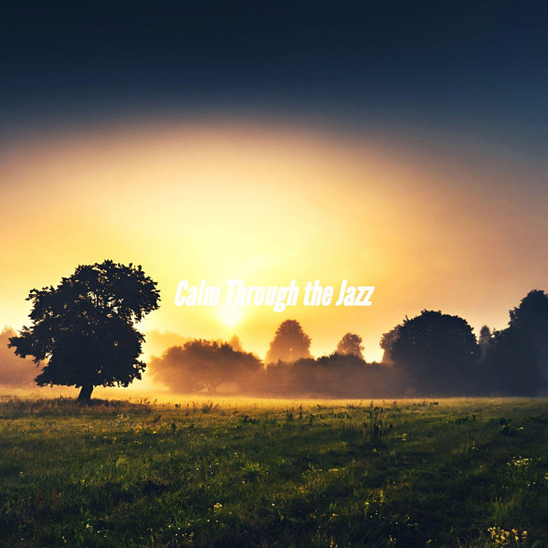 Calm Through the Jazz cover art