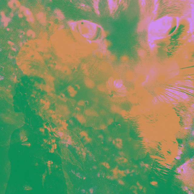 Walau Akhirnya (Hanya Dirimu)