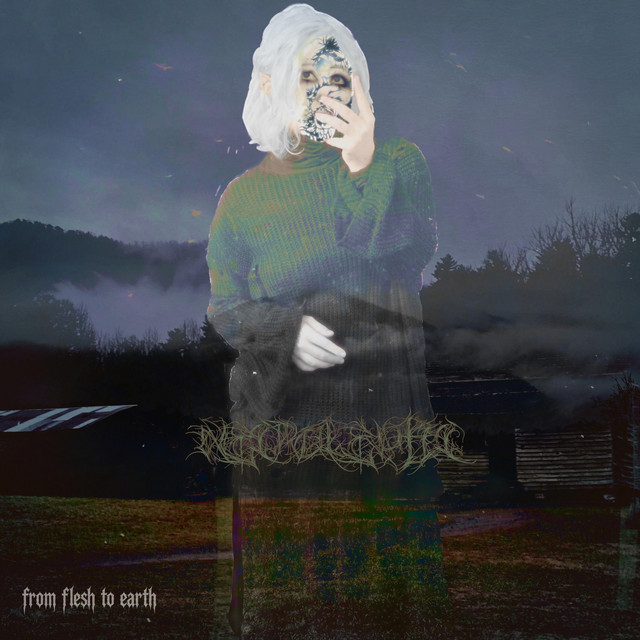 from flesh to earth cover