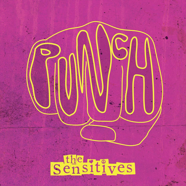 Punch cover