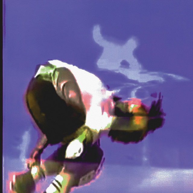 casualprogram cover art