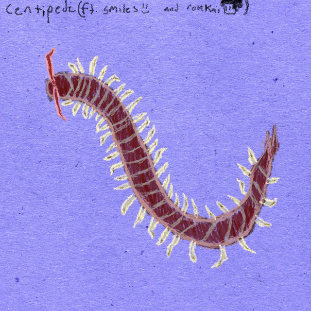 Centipede