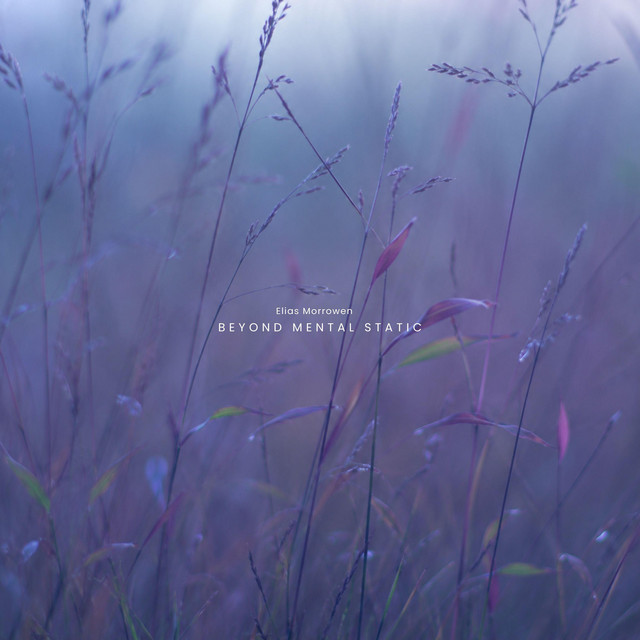 Beyond Mental Static album image