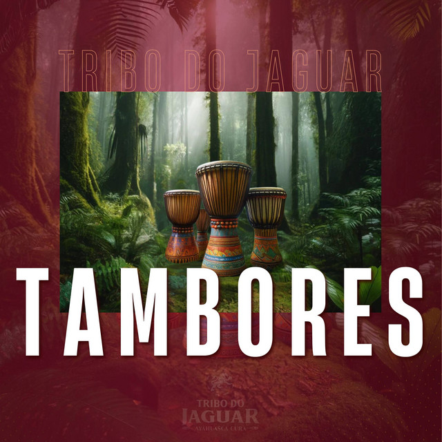 Tambores cover art