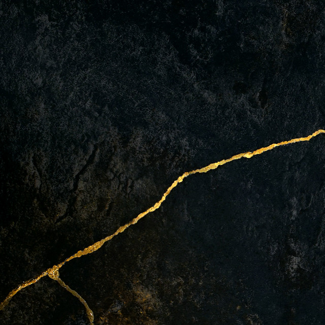 Scavenger cover