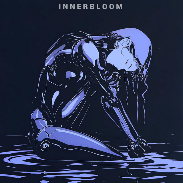Обкладинка: Innerbloom — Frequency