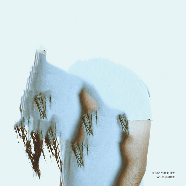 Wild Quiet cover art