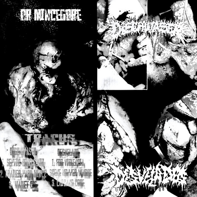 DESVELADO / DISCHWASER SPLIT cover art
