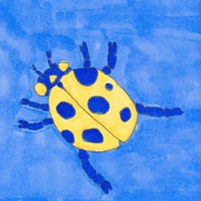 Bug cover art