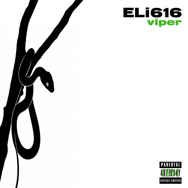 VIPER cover