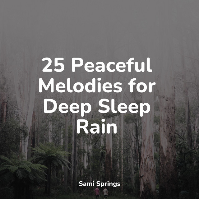25 Peaceful Melodies for Deep Sleep Rain - Album by Namaste Yoga | Spotify