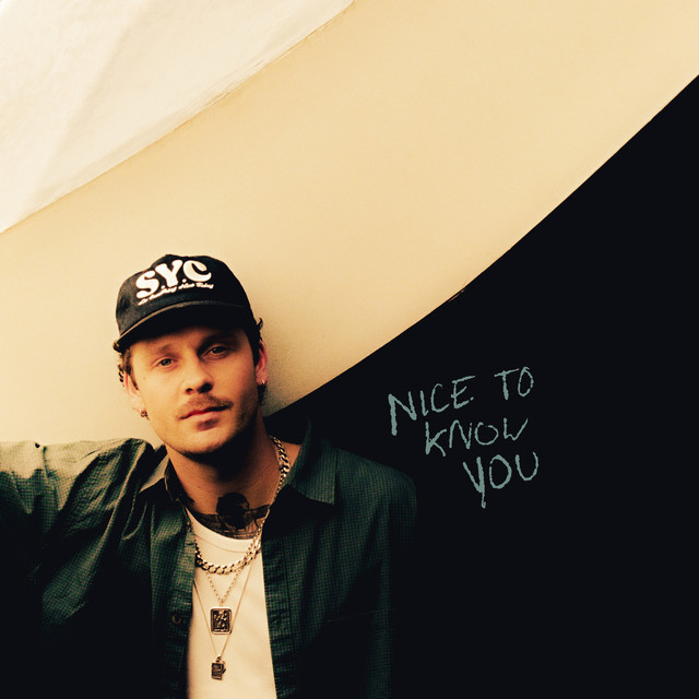 Nice To Know You album image