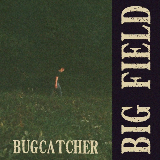 Big Field cover art