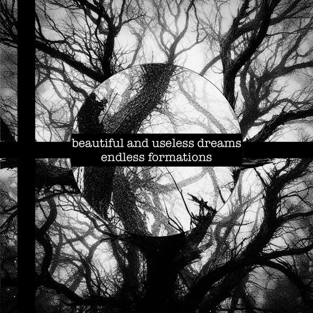 Обкладинка: endless formations — beautiful and useless dreams