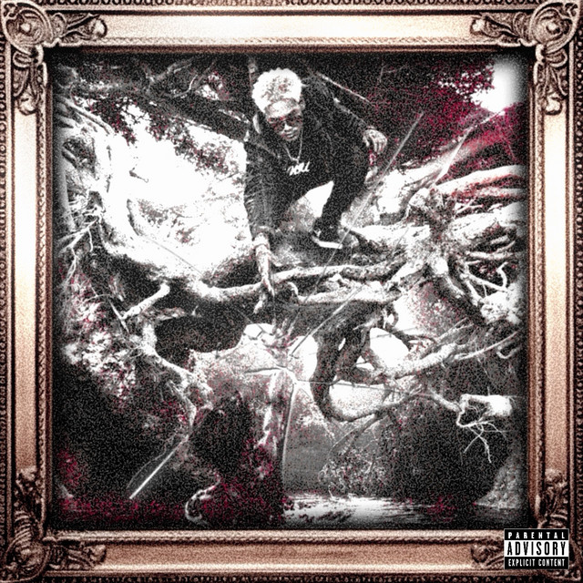 undefined album image