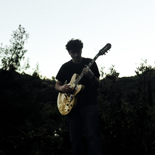 pine cover art