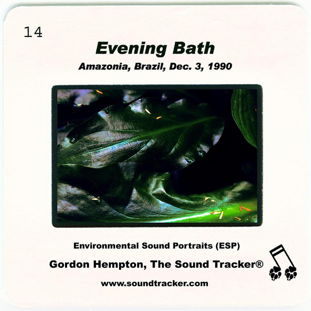 Evening Bath cover