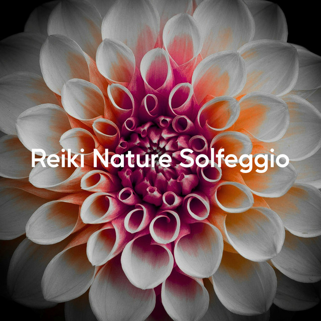 Reiki Nature Solfeggio (Forest Healing Energy)