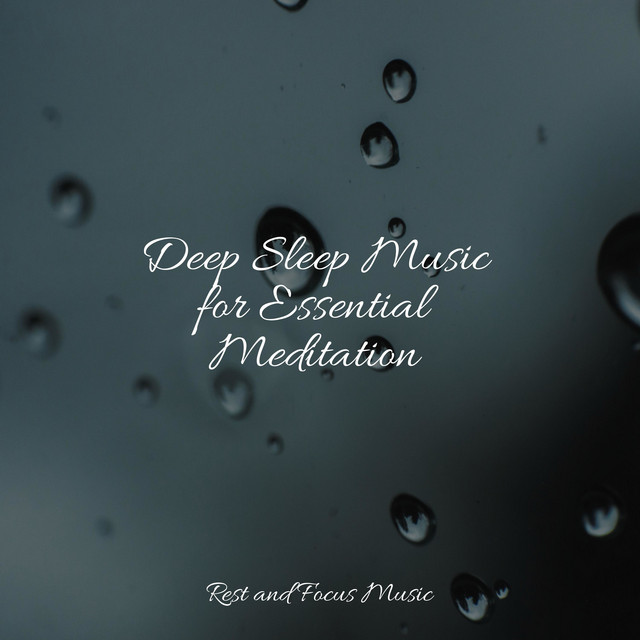 Deep Sleep Music for Essential Meditation - Album by Massagem Coleção ...