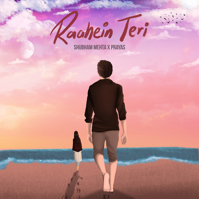 Raahein Teri
