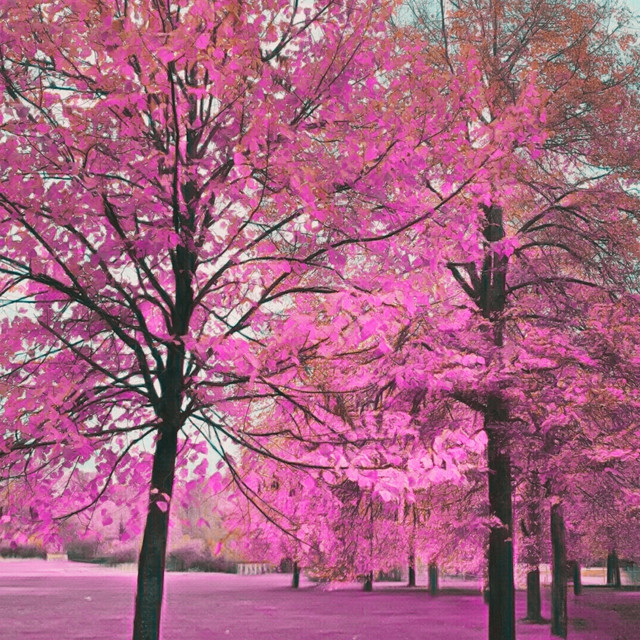 Glowing Leaves cover art