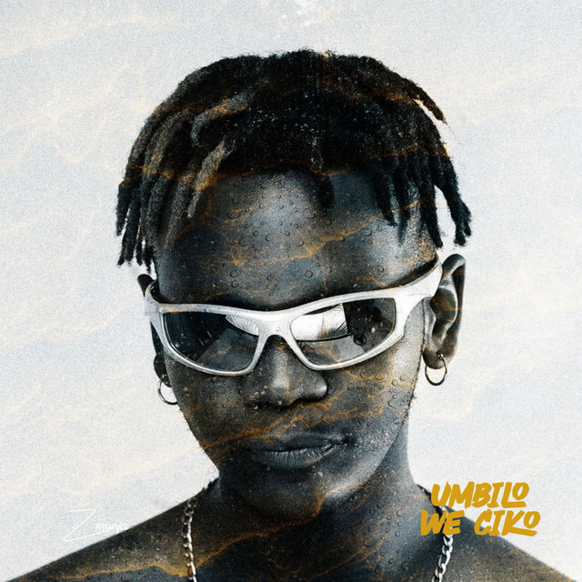 Umbilo weciko