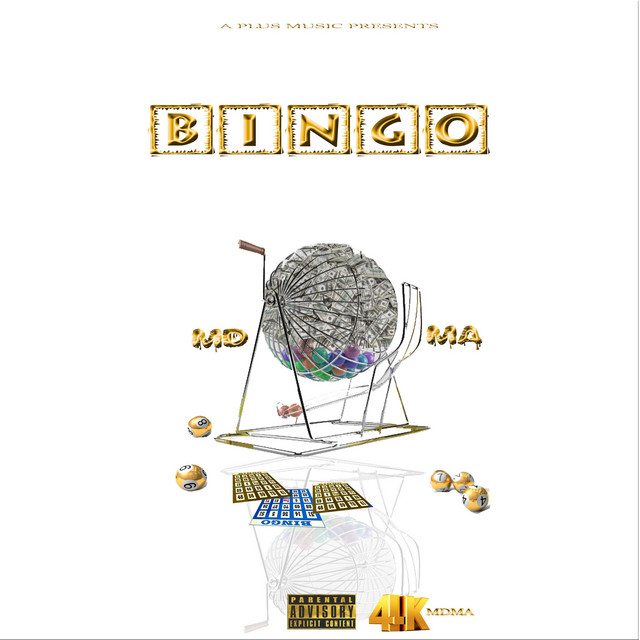 Bingo cover