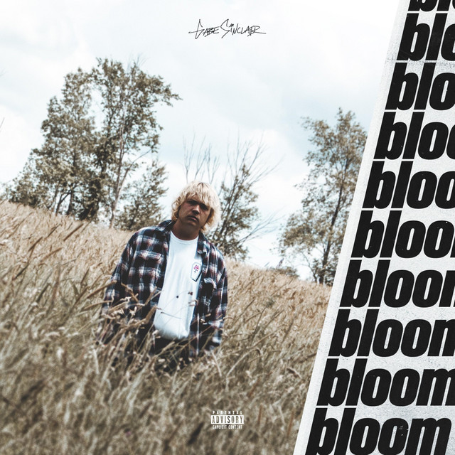 Bloom cover art