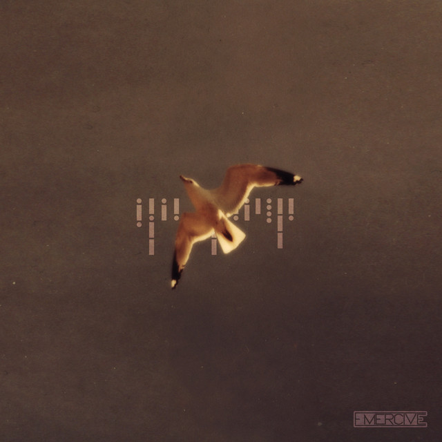 Bachman's Sparrow