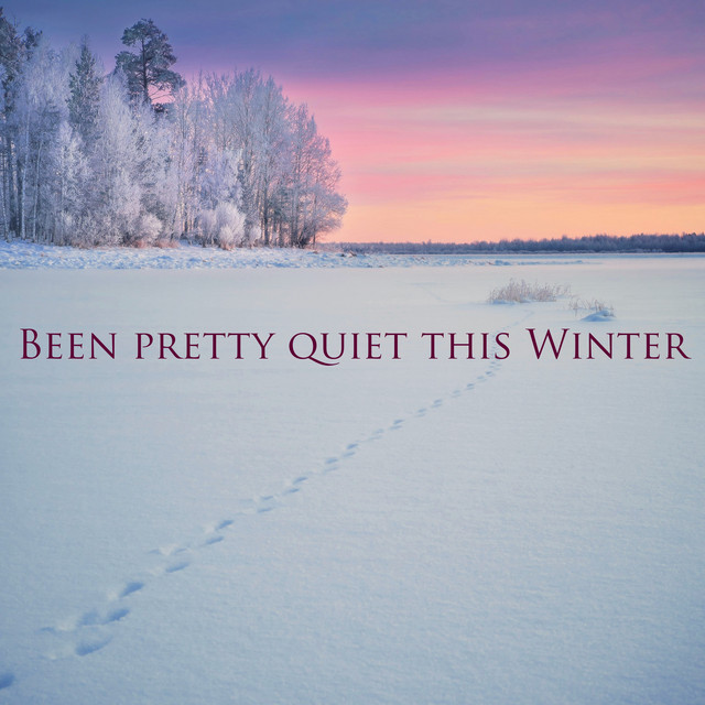 Been Pretty Quiet This Winter cover art