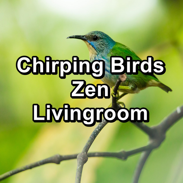 Forest Birdsong - song and lyrics by Nature And Bird Sounds, Yoga Music ...