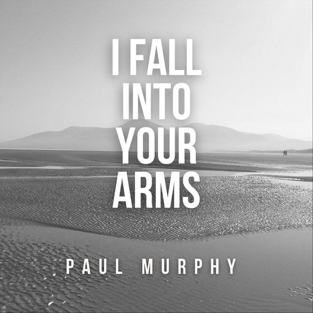 I Fall into Your Arms cover