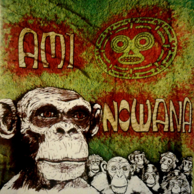 Ami cover
