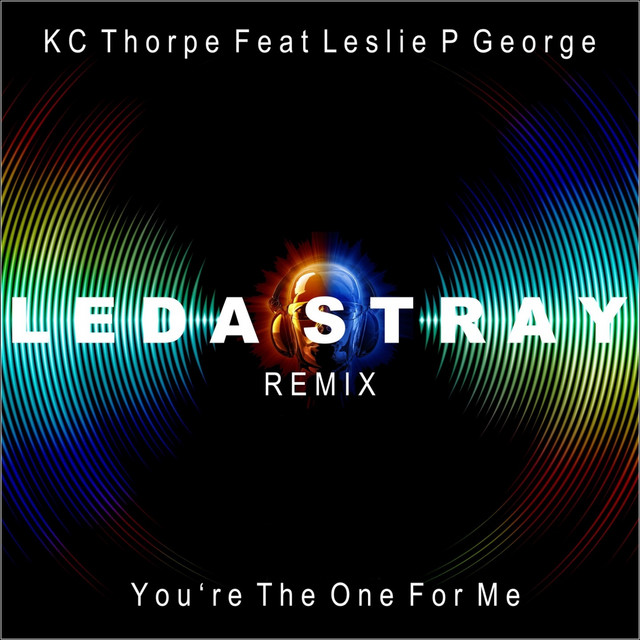 You're the One for Me [Leda Stray Remix] cover