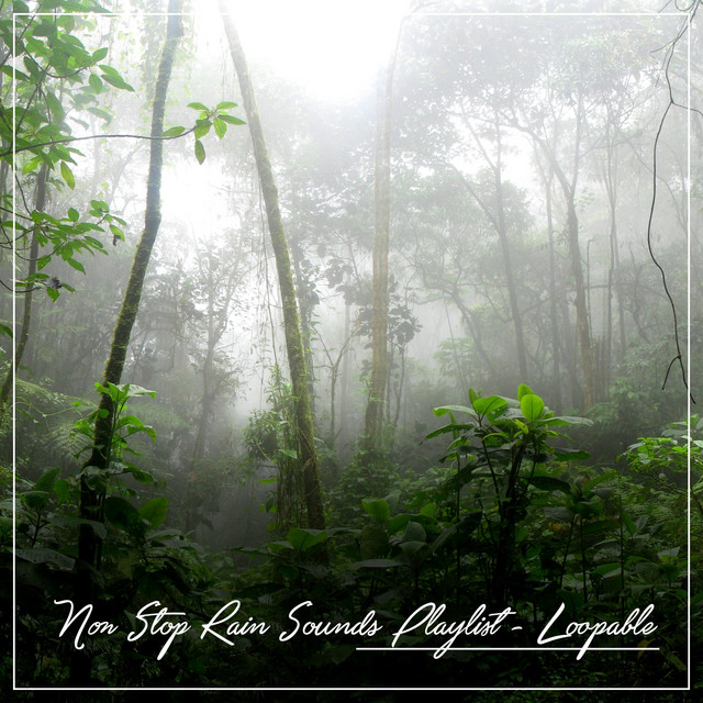 Pelting Rain - song and lyrics by Pro Sound Effects Library | Spotify