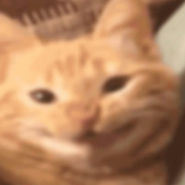 cat cover art