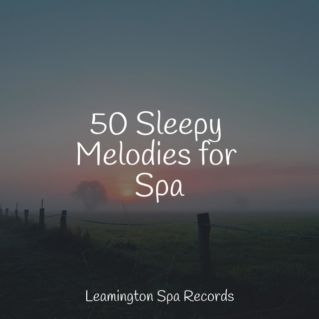50 Sleepy Melodies for Spa - Album by Rain Sounds Collection | Spotify