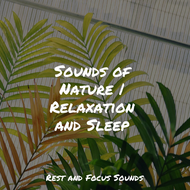 Sounds of Nature | Relaxation and Sleep - Album by White Noise Sleep ...
