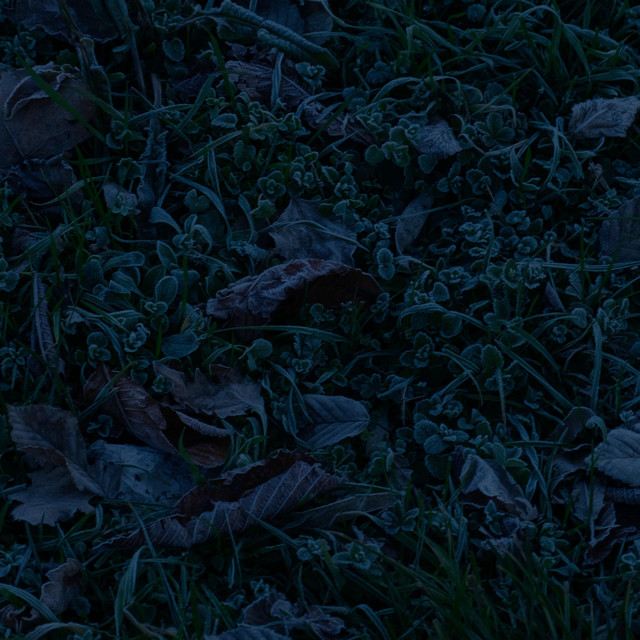 Blackness cover art