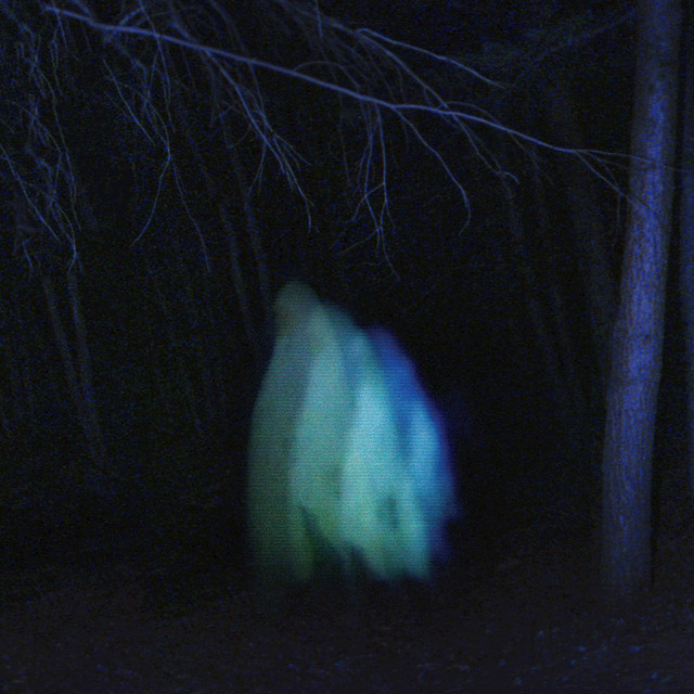 The Protecting Cloak cover art
