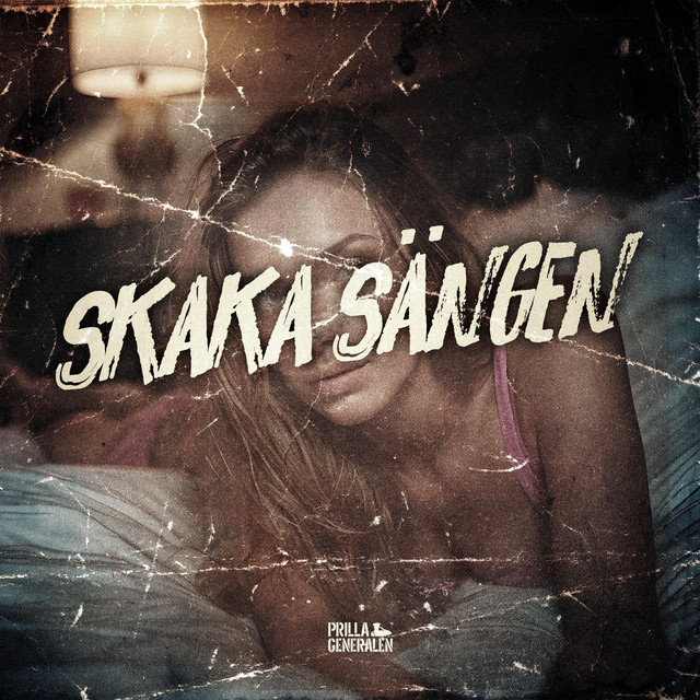 Skaka sängen cover art