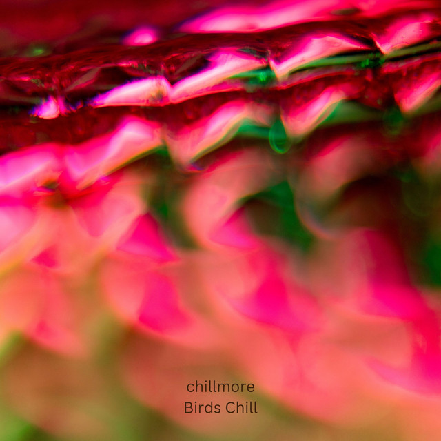 Обкладинка: Birds Chill — Chillmore