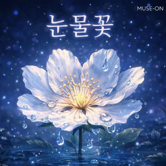 눈물꽃 cover