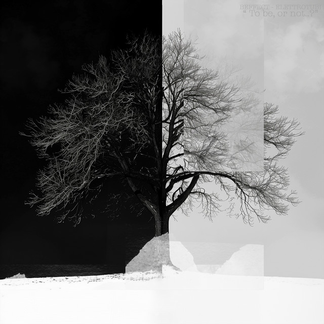 "To be, or not?" cover art